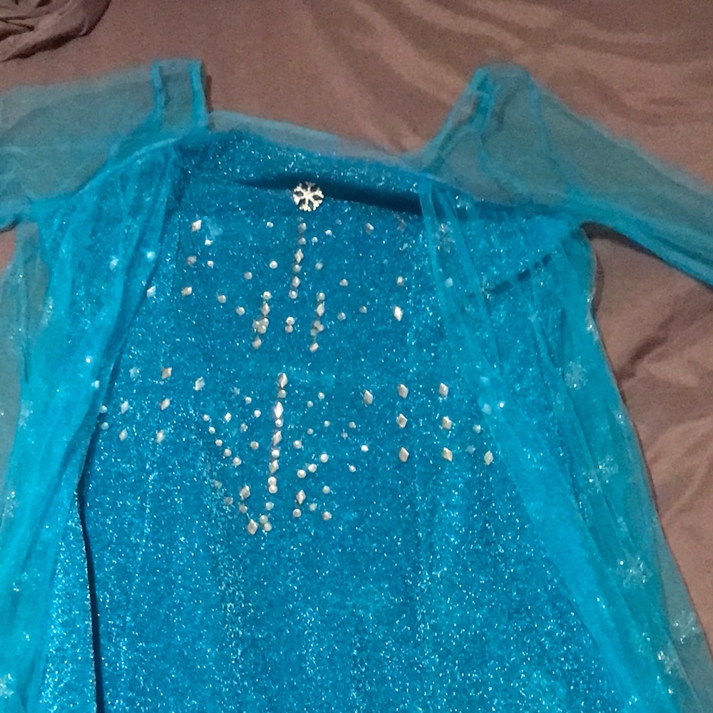 Adult Elsa costume